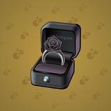 Diamond Ring #9684