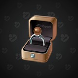 Diamond Ring #9766
