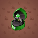 Diamond Ring #9844