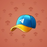 Durov’s Cap #203 Durov’s Cap #203