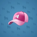 Durov’s Cap #204 Durov’s Cap #204