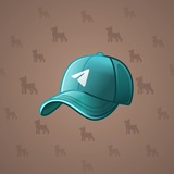 Durov’s Cap #2494