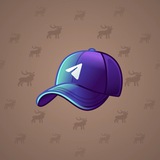 Durov’s Cap #2817 Durov’s Cap #2817