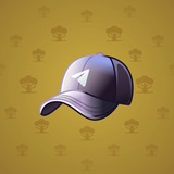 Durov’s Cap #316