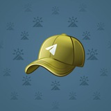 Durov’s Cap #317
