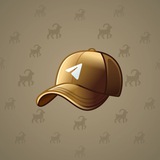 Durov’s Cap #335