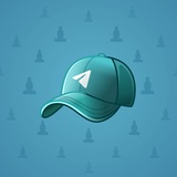 Durov’s Cap #337 Durov’s Cap #337