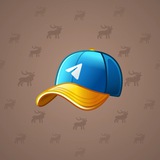 Durov’s Cap #3376 Durov’s Cap #3376