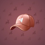 Durov’s Cap #4008