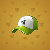 Durov’s Cap #417