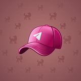 Durov’s Cap #46 Durov’s Cap #46