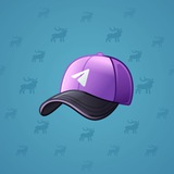 Durov’s Cap #713
