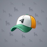 Durov’s Cap #744