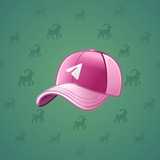 Durov’s Cap #877