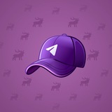 Durov’s Cap #944