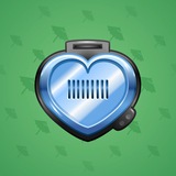Heart Locket #229