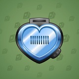 Heart Locket #249