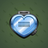 Heart Locket #799