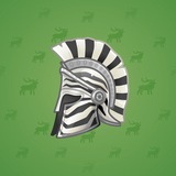 Heroic Helmet #1402