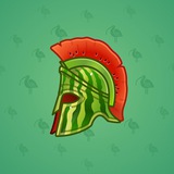 Heroic Helmet #556 Heroic Helmet #556