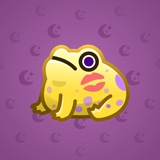Kissed Frog #13207 Kissed Frog #13207