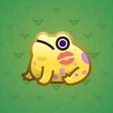 Kissed Frog #7087 Kissed Frog #7087