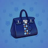 Loot Bag #10009