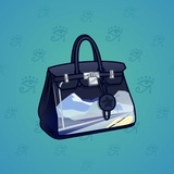 Loot Bag #10240
