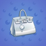 Loot Bag #12970