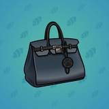Loot Bag #4995