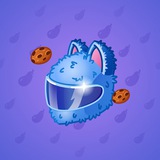 Neko Helmet #13997