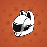 Neko Helmet #2501
