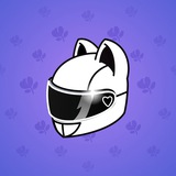 Neko Helmet #3309