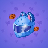 Neko Helmet #6763