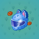 Neko Helmet #8574