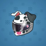 Neko Helmet #8827