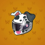 Neko Helmet #9510