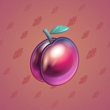 Precious Peach #100 Precious Peach #100