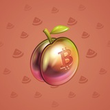 Precious Peach #1129 Precious Peach #1129