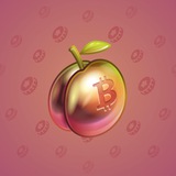 Precious Peach #1181 Precious Peach #1181