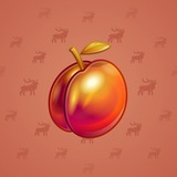Precious Peach #1244