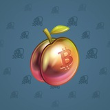 Precious Peach #1298 Precious Peach #1298