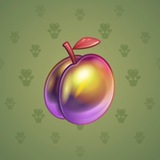 Precious Peach #13 Precious Peach #13