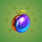 Precious Peach #1304