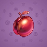 Precious Peach #1486 Precious Peach #1486