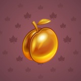 Precious Peach #1555 Precious Peach #1555