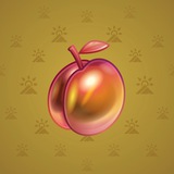 Precious Peach #1583