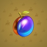 Precious Peach #1614 Precious Peach #1614