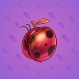 Precious Peach #1646 Precious Peach #1646