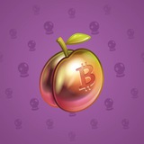 Precious Peach #1660